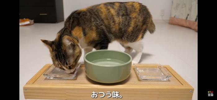 おつう味