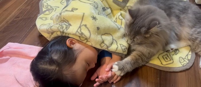寝ている子どもと猫