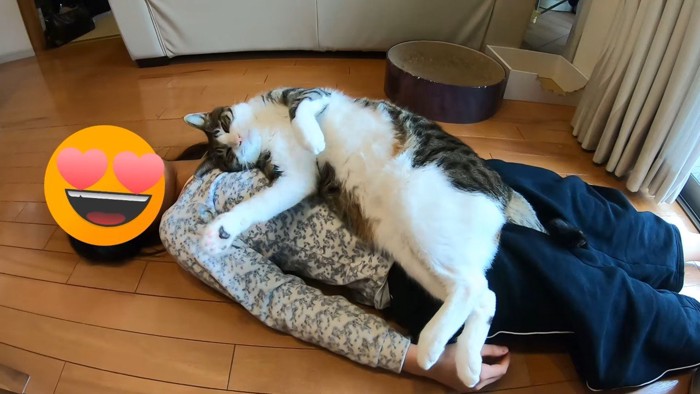 右前足を少し上げた姿