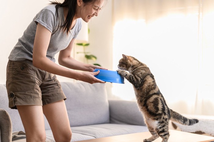 人が持つ食器に前足をかけて立つ猫