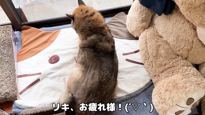 テロップ「リキ、お疲れ様！」