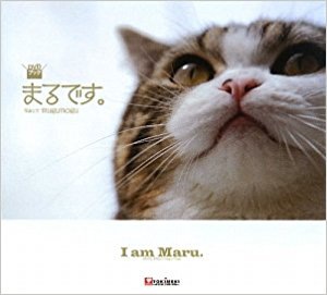 猫まるのDVD表紙