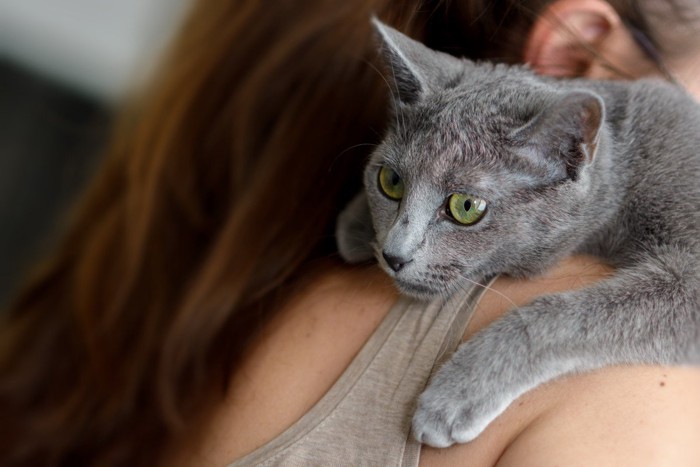 女性に抱きつく猫