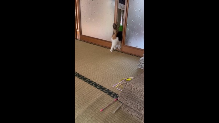 部屋の外へ