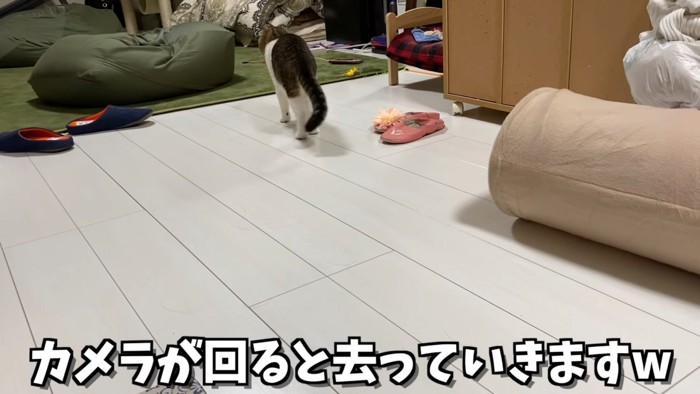 離れていく猫