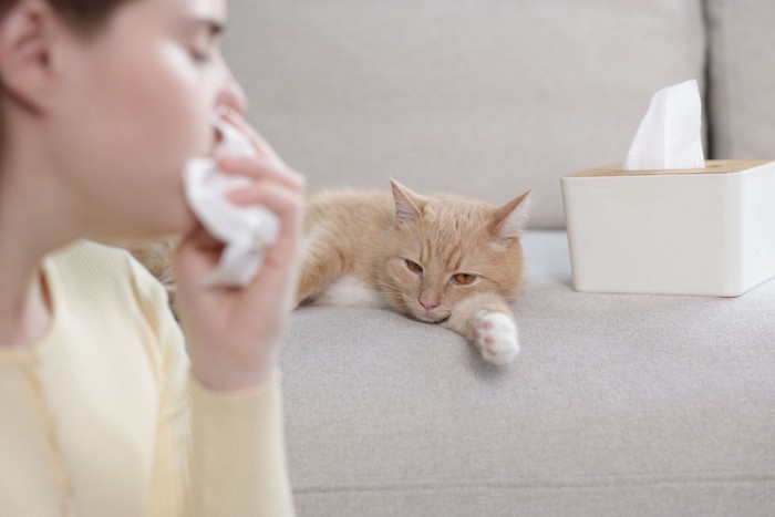 鼻をおさえる女性と猫