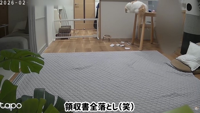 領収書の全落とし