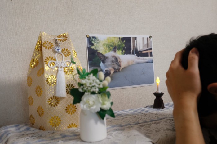 猫の遺影と落ち込む人