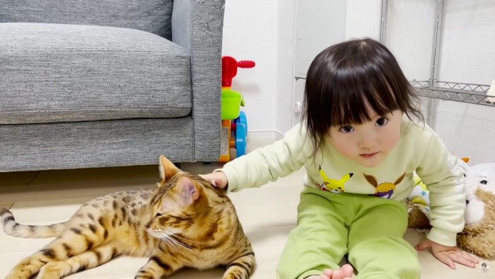 並んで座る女の子と猫