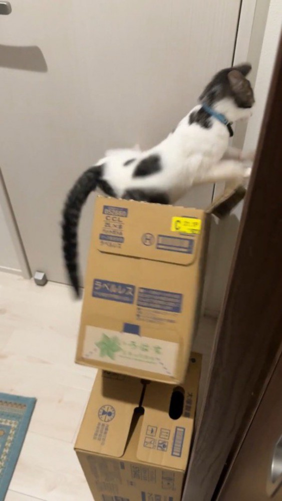 バランスを崩して傾くダンボール