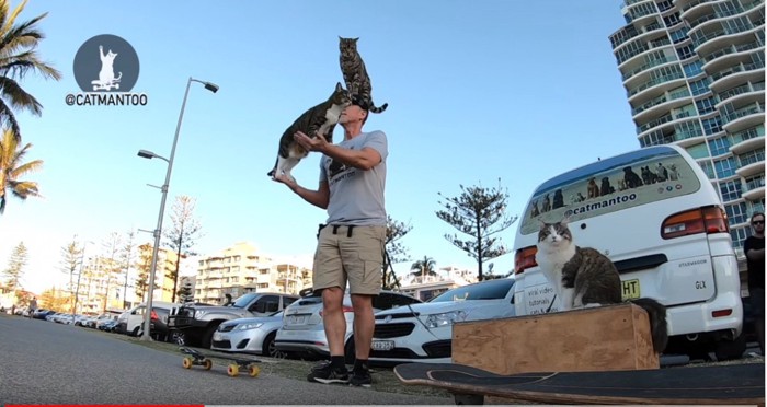 人間に飛び乗る猫2