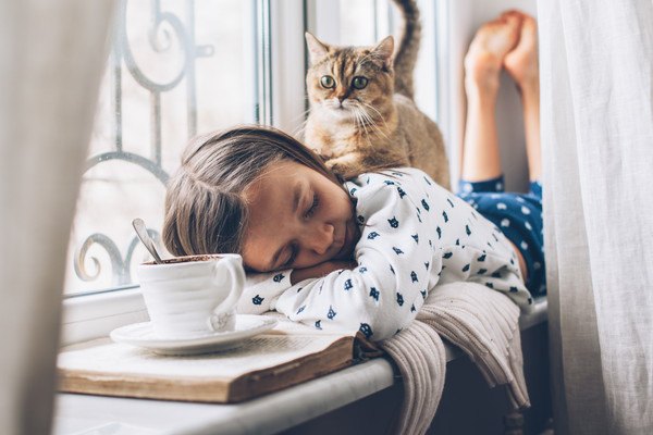 女性の背中に乗る猫