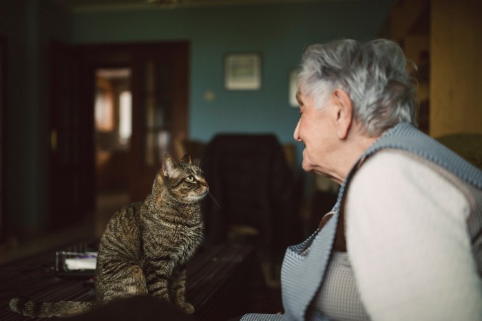 女性とアイコンタクトを取る猫