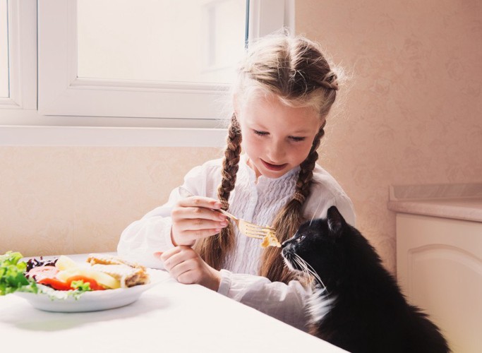 女の子に餌を貰う猫