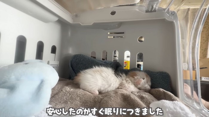 テロップ「安心したのか～」