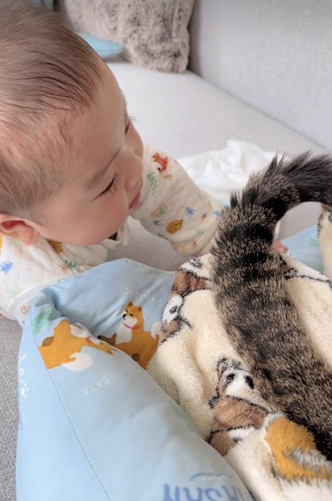 赤ちゃんを尻尾であやすキジトラ猫