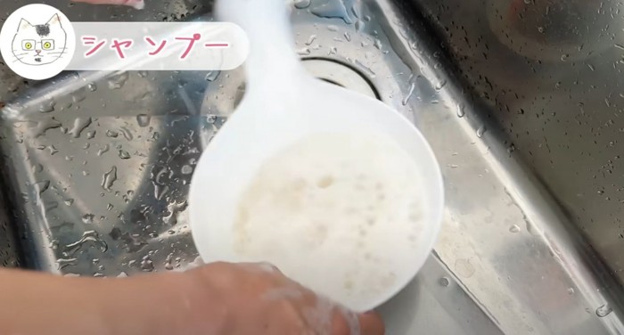 茶色い水再び