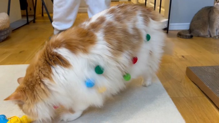 ぽてちくんの横腹