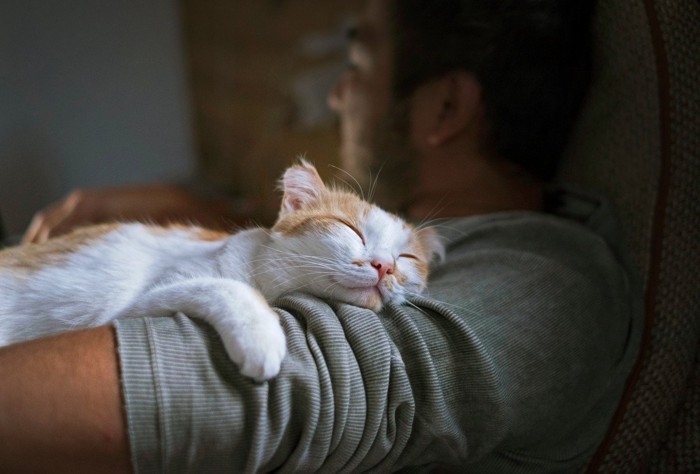 男性の腕の中で幸せそうに眠る猫
