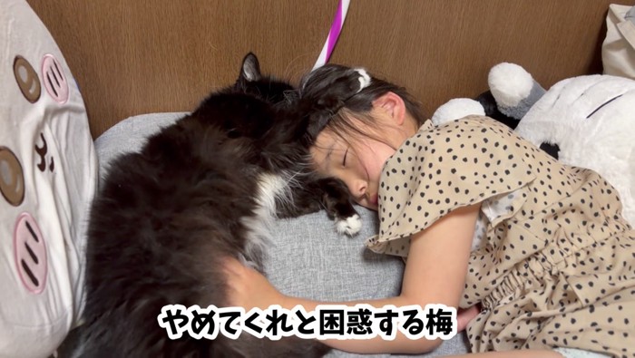 困惑する梅ちゃん