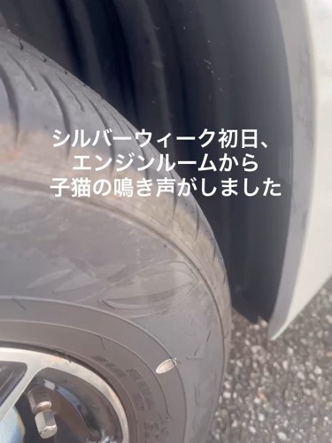 車のタイヤ