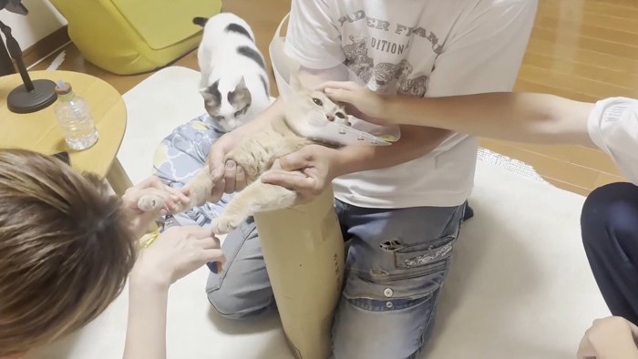 なでなで