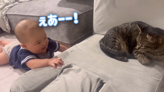 ぇあーー！