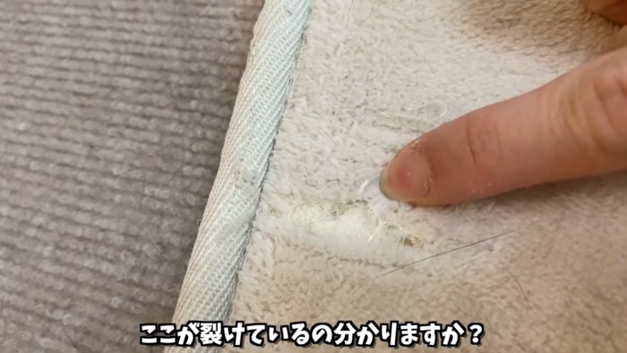 破れた絨毯