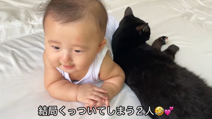 黒白猫にくっつく赤ちゃん