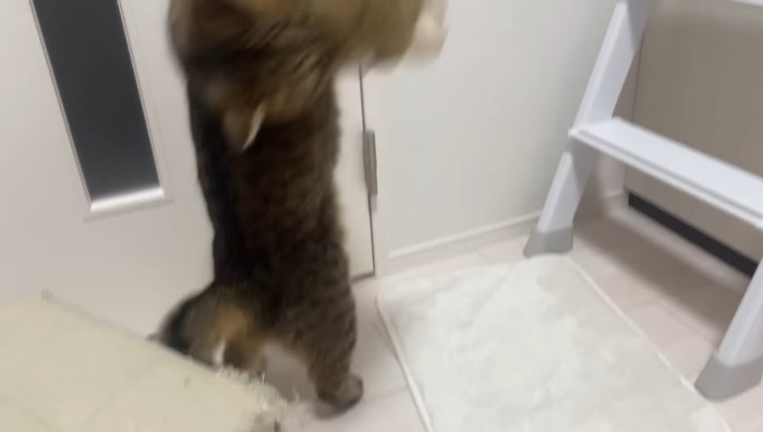 のけ反って