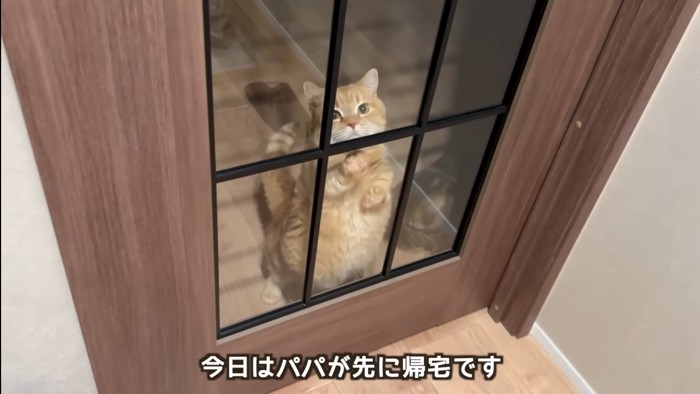 パパが先に帰宅