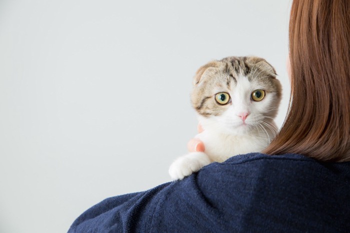 女性に抱っこされている猫