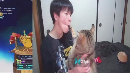 飼い主の口の中に前足が入っている猫