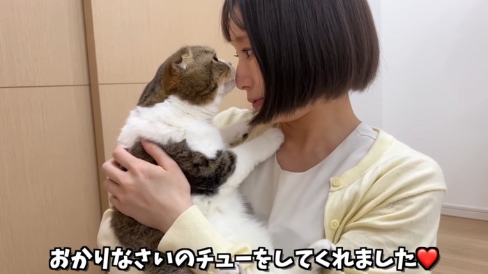 鼻チューをする猫