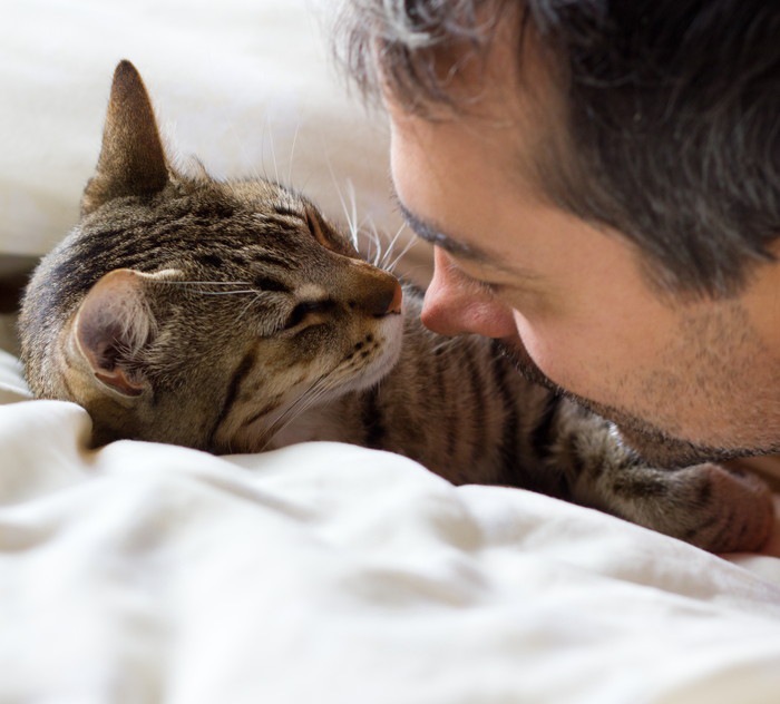 寄り添う猫と男性