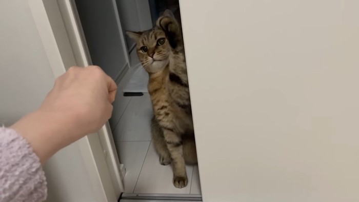 左前足を振り上げて