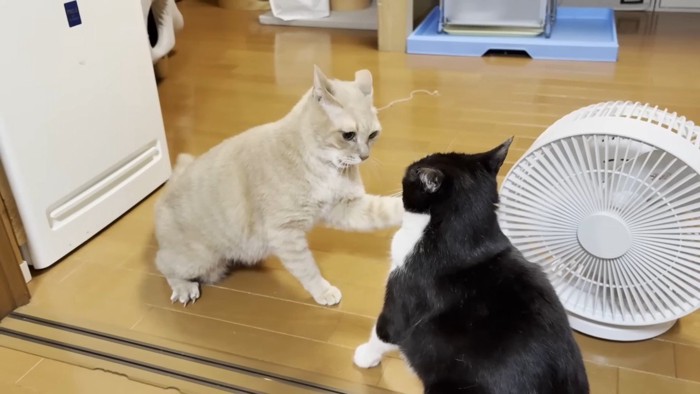 対峙するふたり
