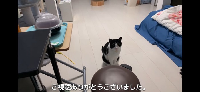 何してる？