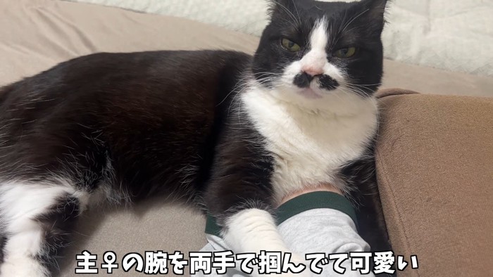 両手で掴んで
