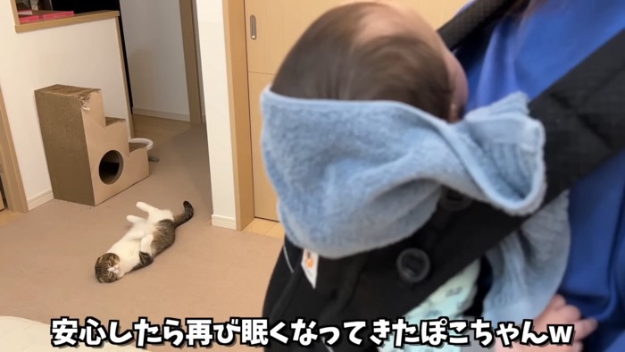 ヘソ天の猫