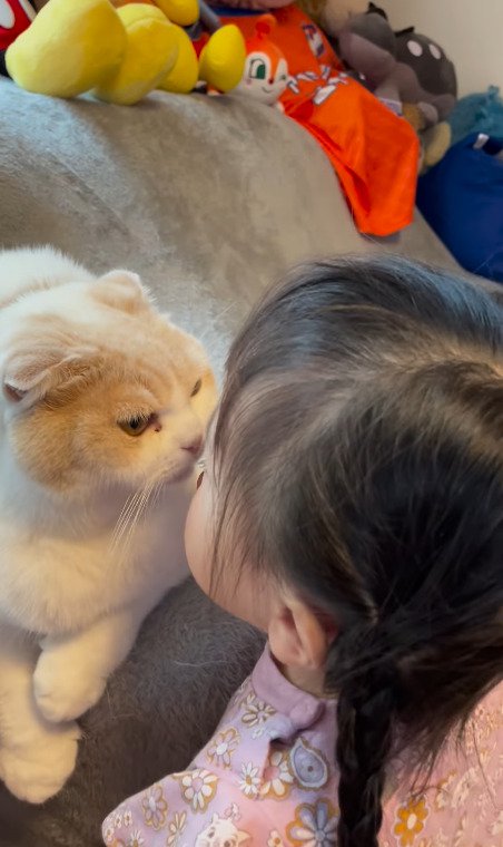 キスを待つ猫