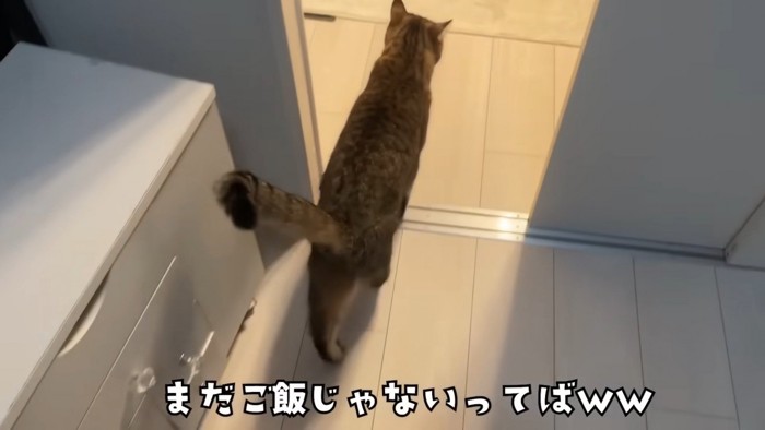 再度の誘導