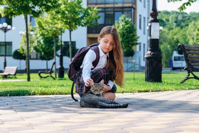 猫をなでる女子小学生