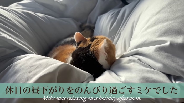 締めのセリフとミケの後ろ姿