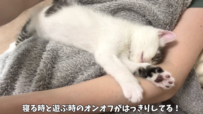 あっという間に寝た坊ちゃん