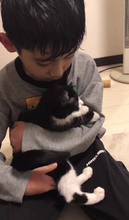 猫を抱っこしている男の子