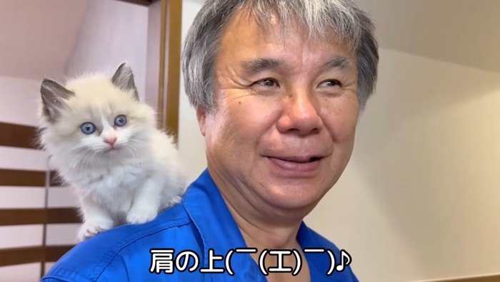 肩の上