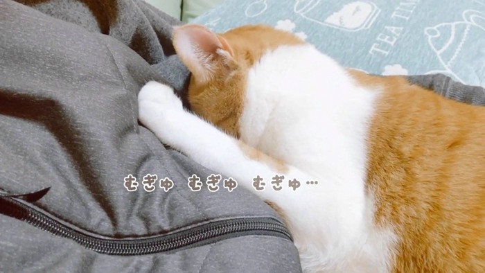 むぎゅむぎゅむぎゅ…