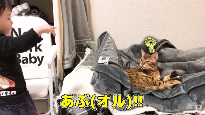 猫と娘の掛け合い