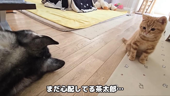 まだ心配